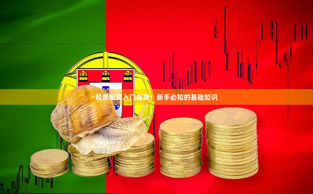 股票配资入门指南：新手必知的基础知识
