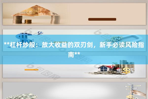 **杠杆炒股：放大收益的双刃剑，新手必读风险指南**